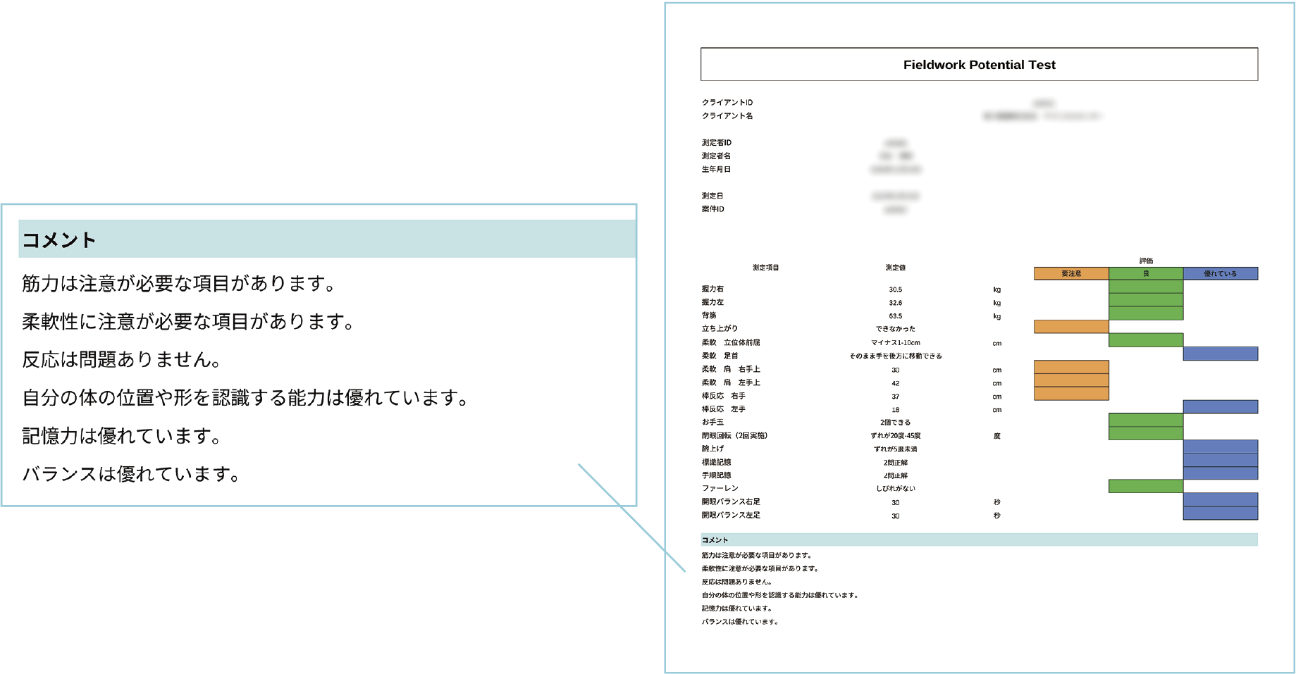 フィルポテ評価レポートのサンプル。18項目を3段階で評価し注意点や強みを可視化した画面